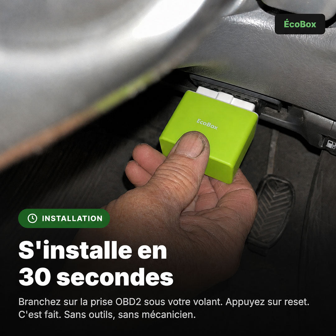 EcoBox